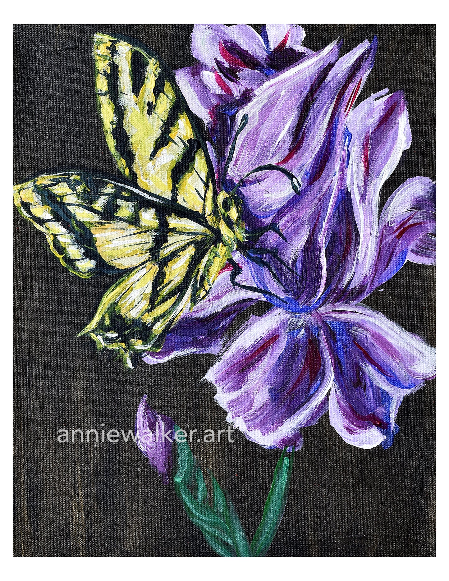 Swallowtail and Iris digital print