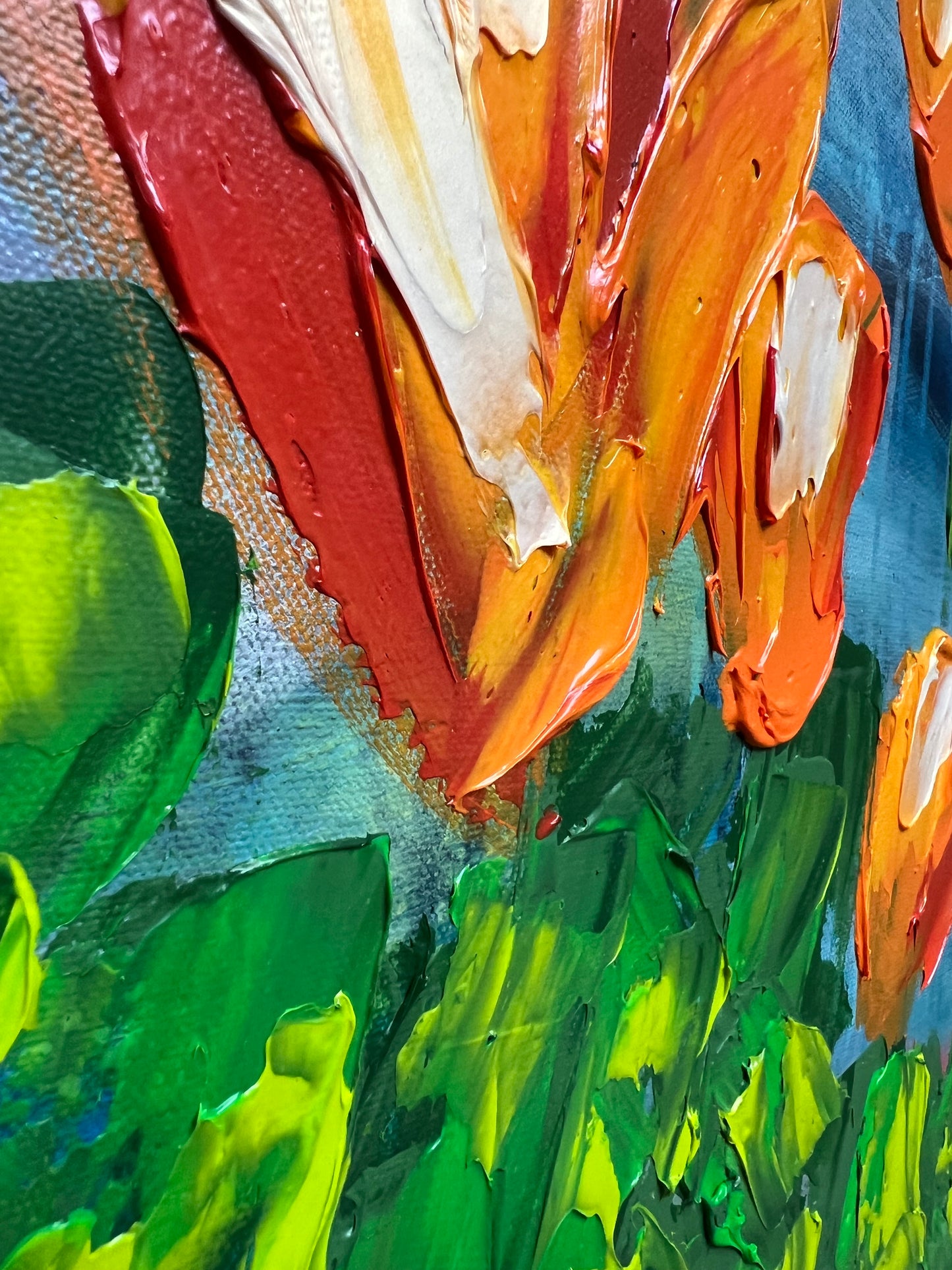 California Poppies 2