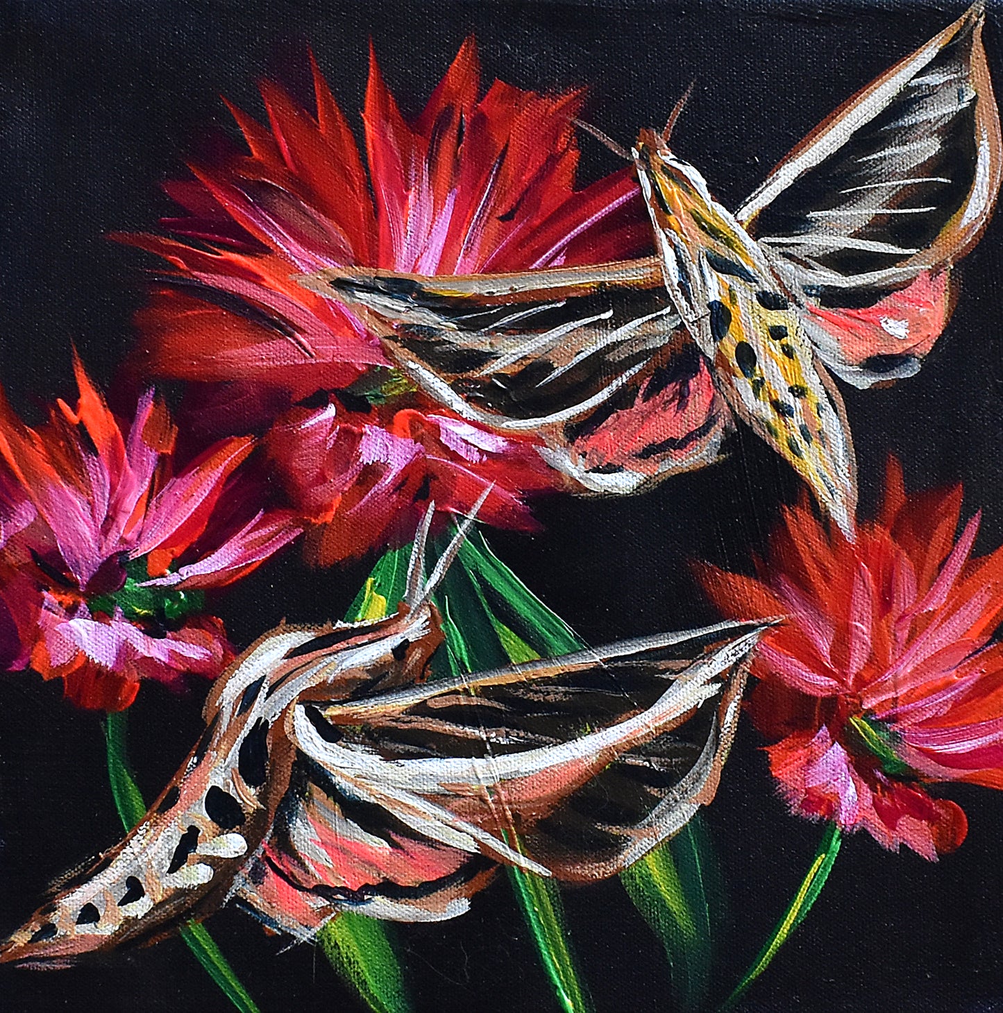 Hummingbird Hawk Moth w/ Bee Balm 12x12"