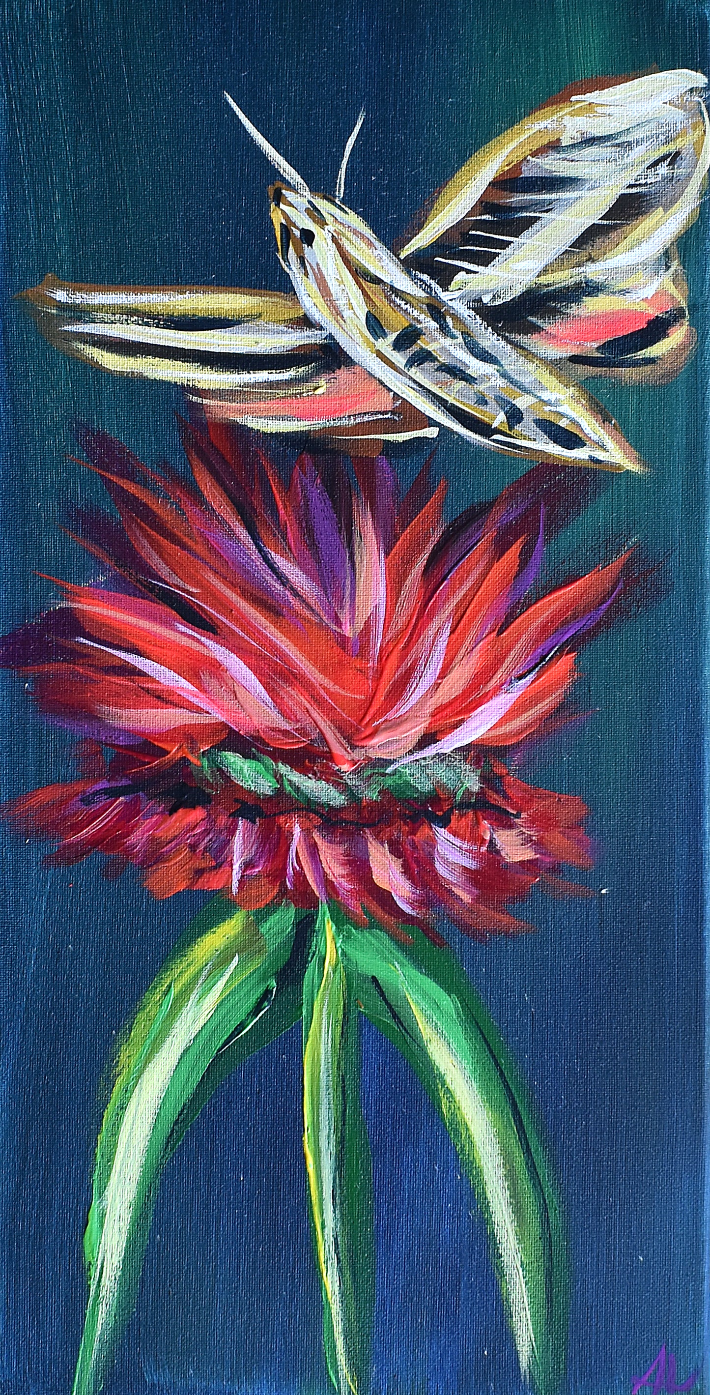 Hummingbird Hawk Moth w/. Bee Balm 20x10"