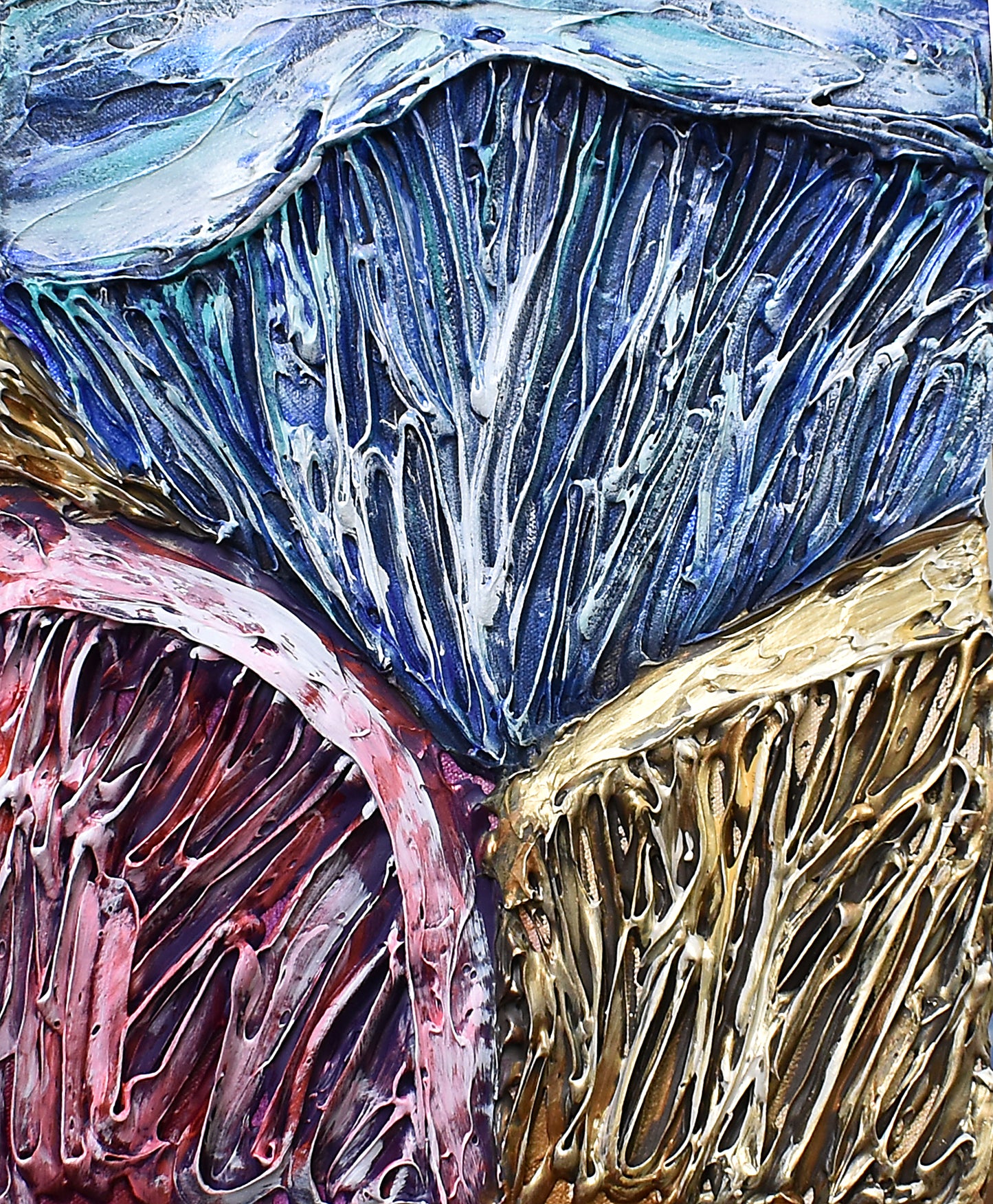 14x11" Oyster Mushroom