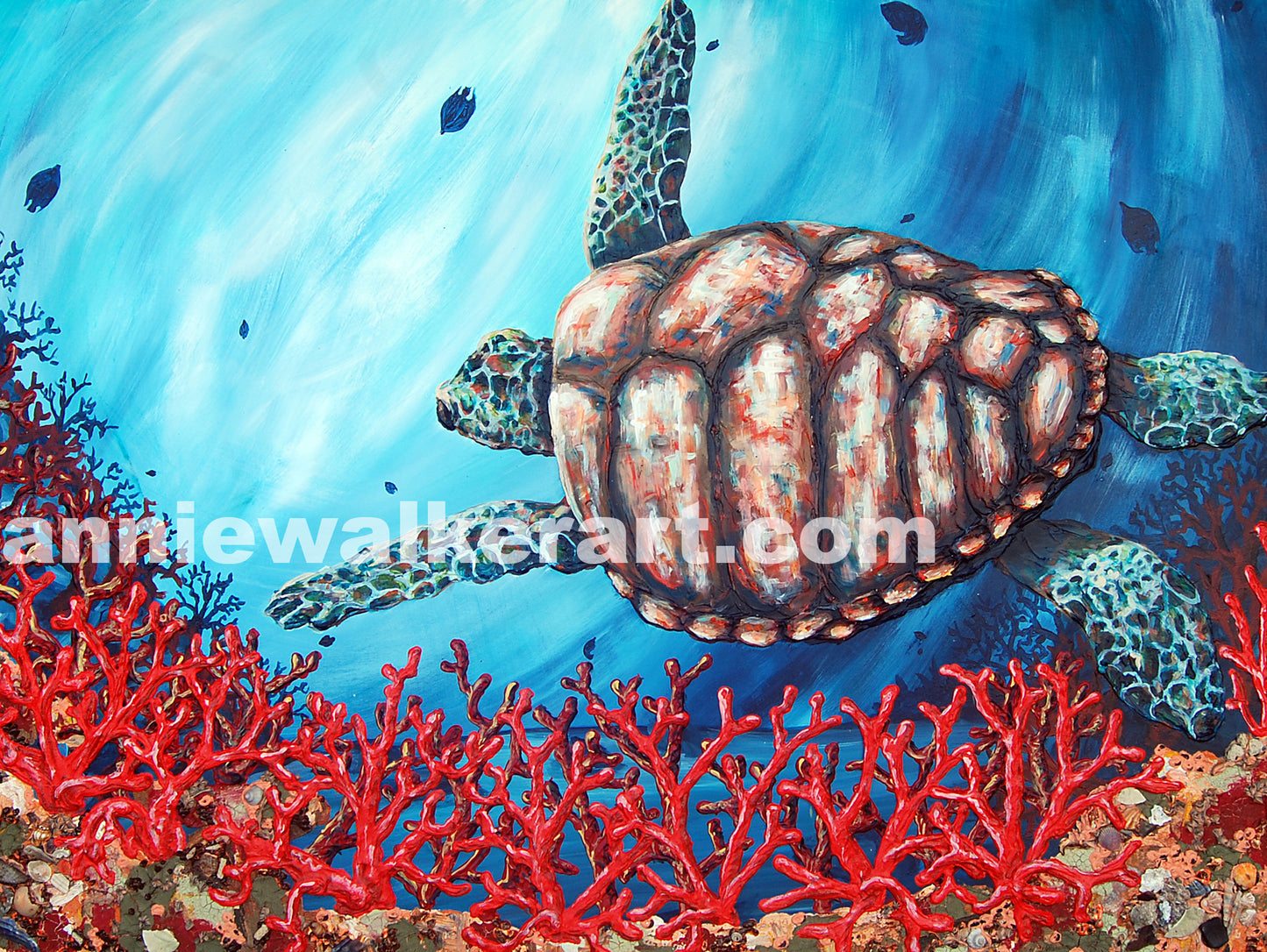 Navigating the Reef Print