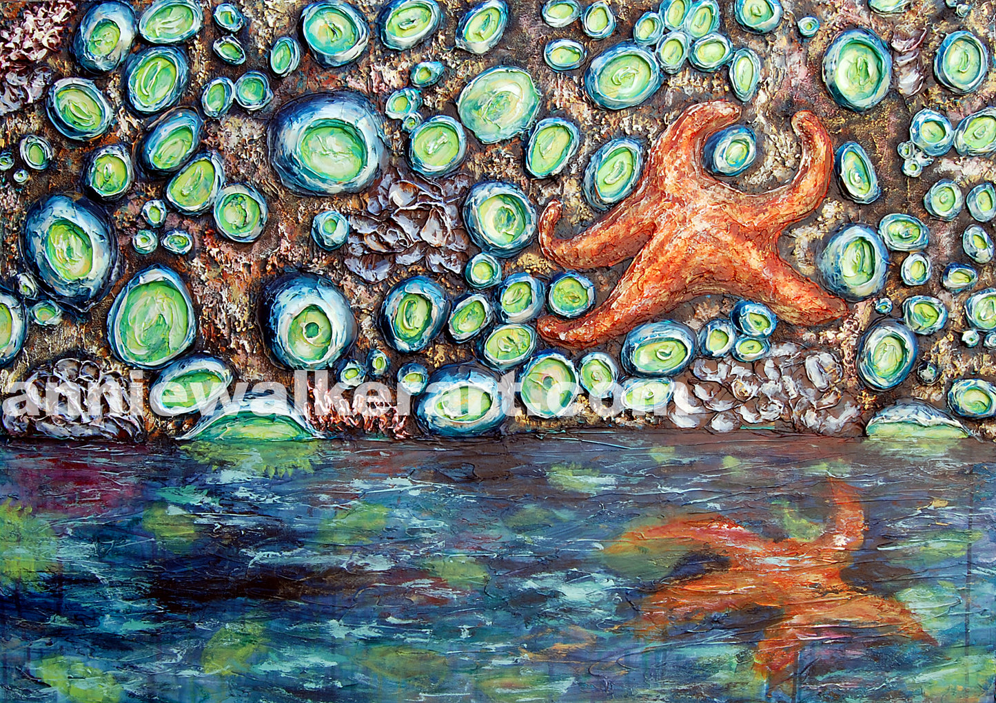 Intertidal Wilderness Print