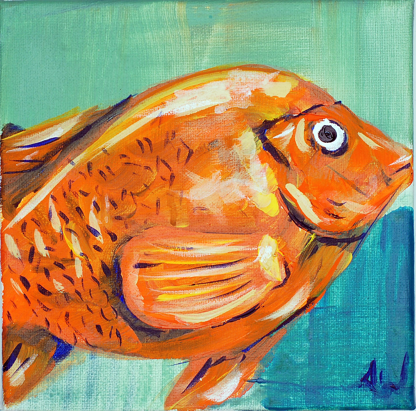 Garibaldi