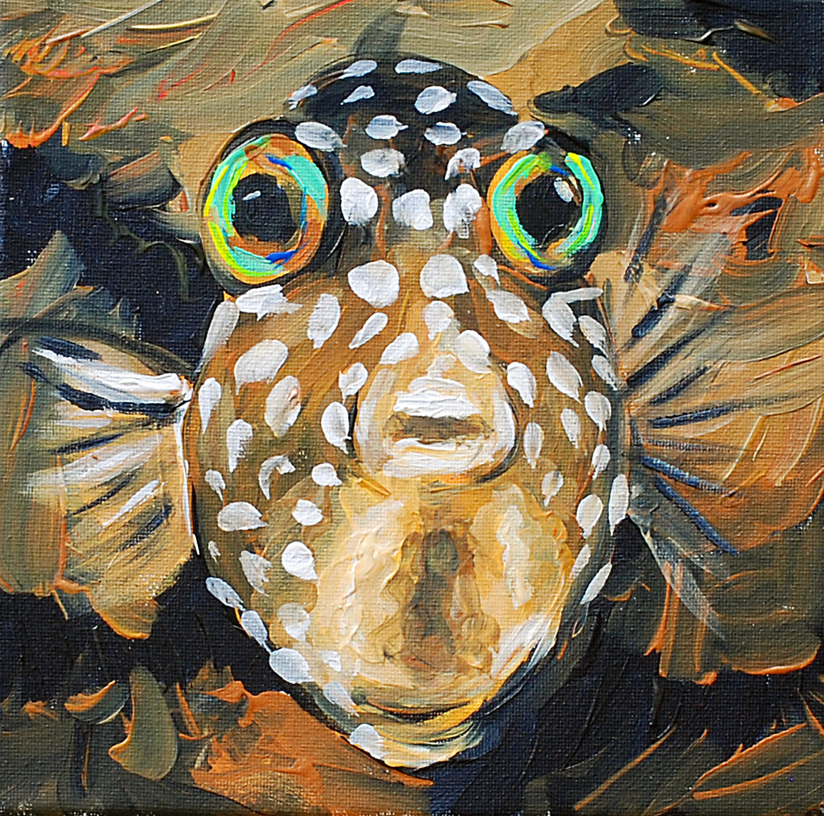 White Spotted Toby