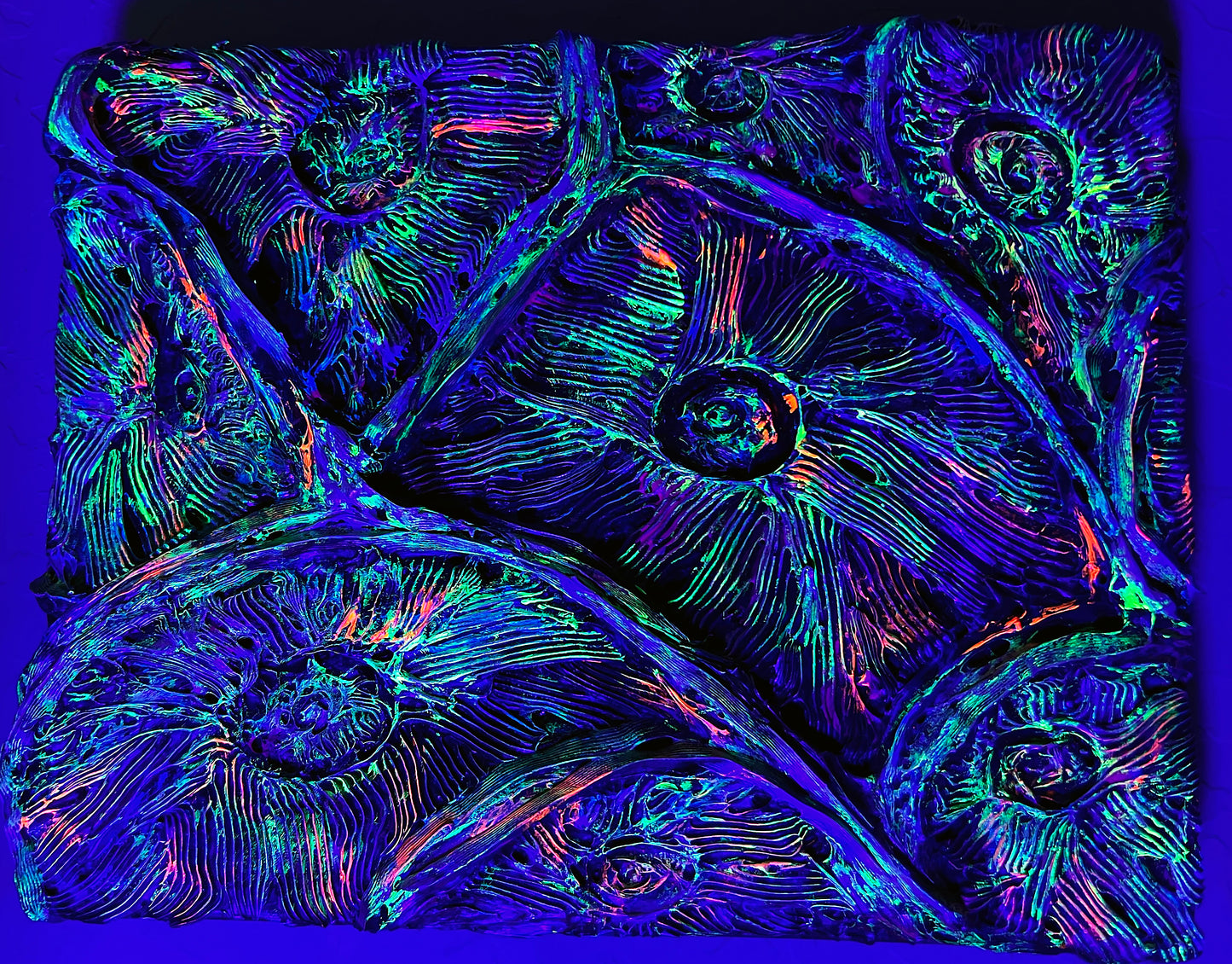 Moseleya Latistella Coral 11x14"