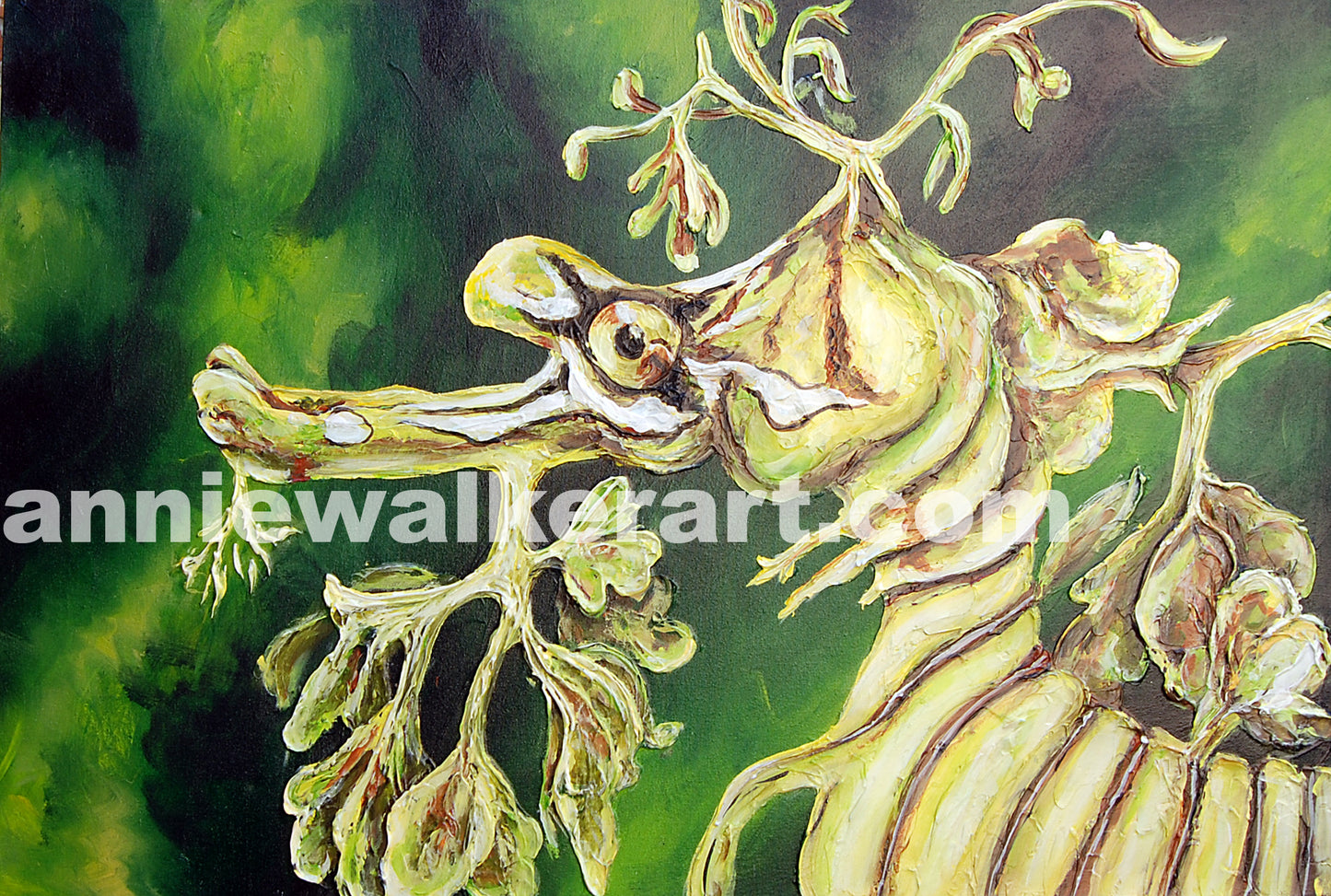 Leafy Sea Dragon Print