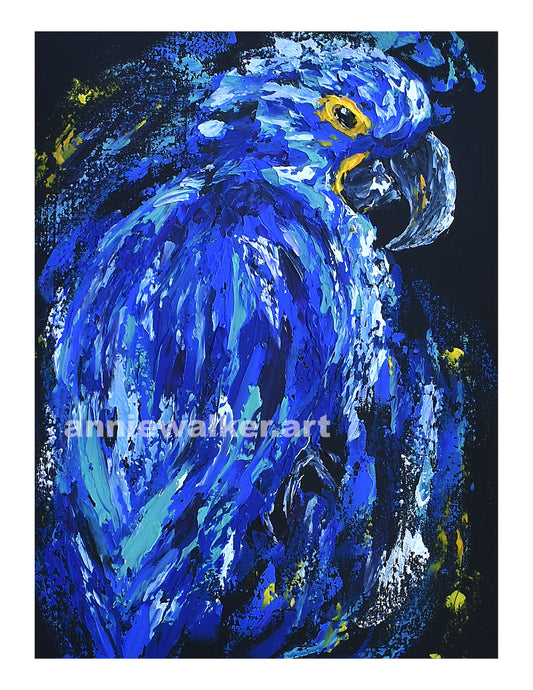 Hyacinth Macaw Print