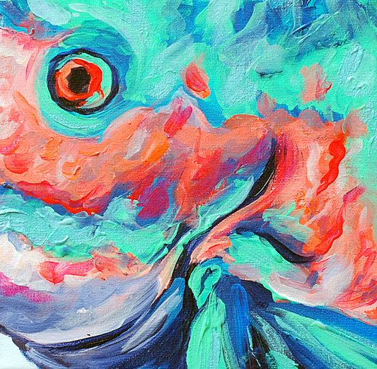 Parrotfish Close up