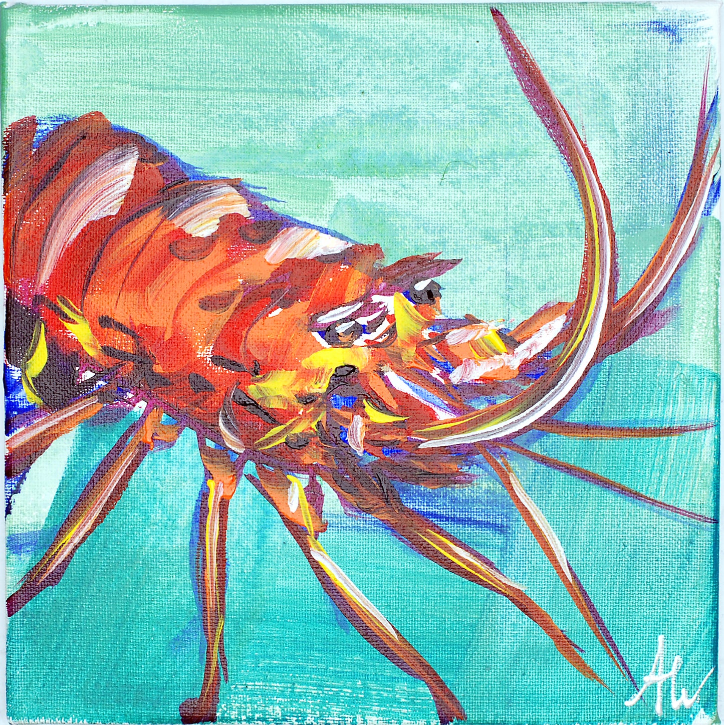 Spiny Lobster II